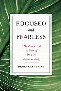 Book Cover: Focused and Fearless